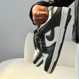 Tênis Nike Dunk low Pro Luxo
